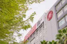 绝美的岭南春景大片,广东岭南现代技师学院春景一览